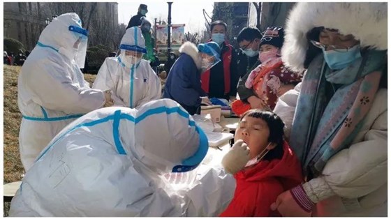 大力士 生物质燃烧器