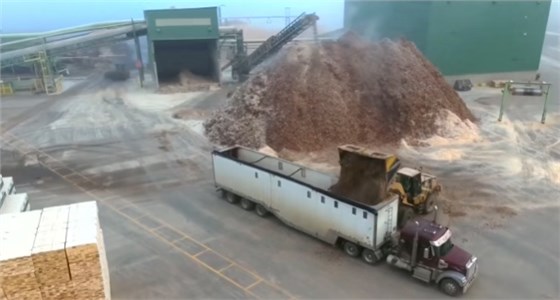 大力士生物质燃烧机