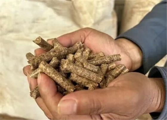 大力士生物质燃烧机