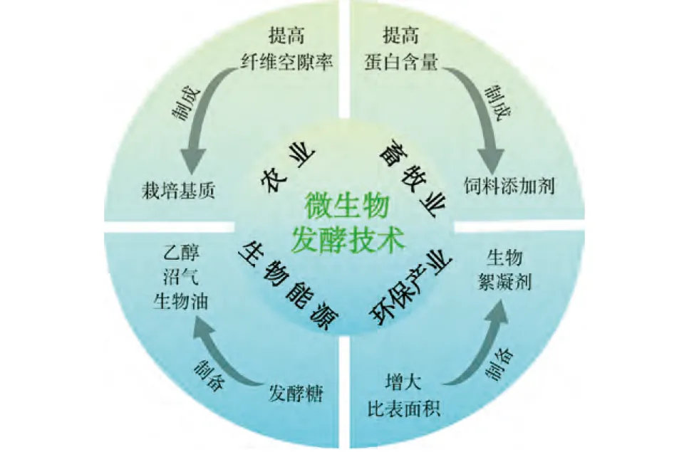 “双碳”背景下中药药渣高值化利用技术与途径2